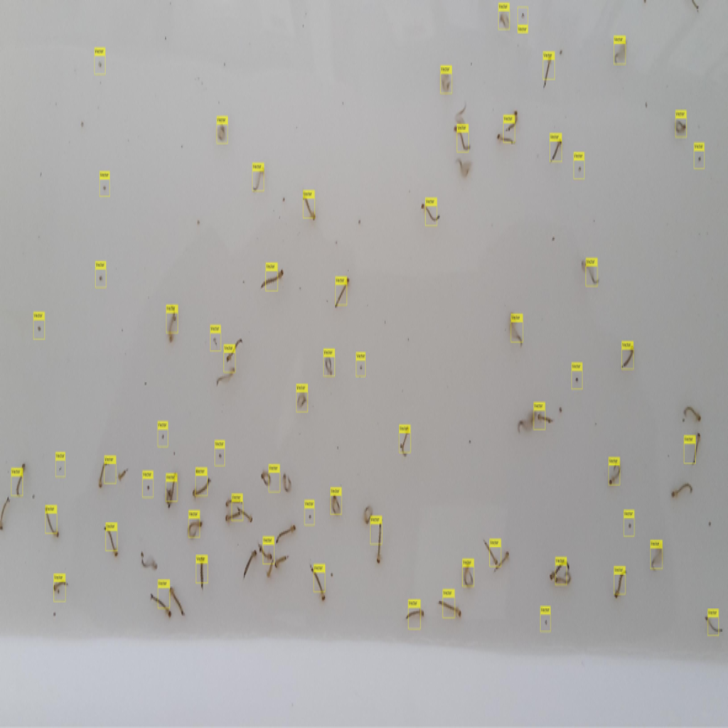 Recognition and Automatic Counting of Infectious
Diseases Transmitting Vectors 