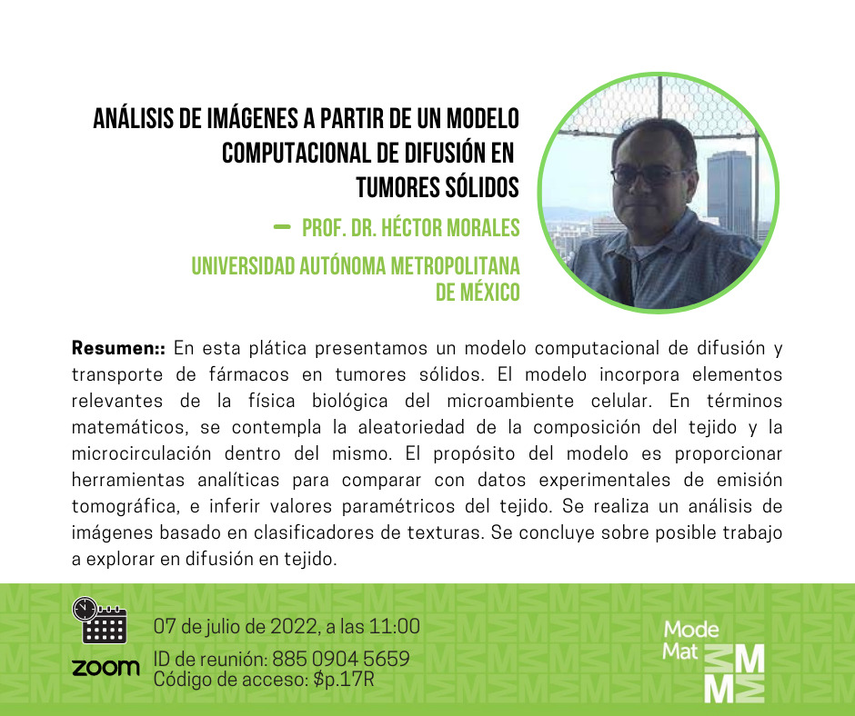 Análisis de imágenes a partir de un modelo computacional de difusión en tumores sólidos