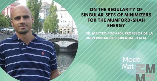 On the regularity of singular sets of minimizers for the Mumford-Shah energy