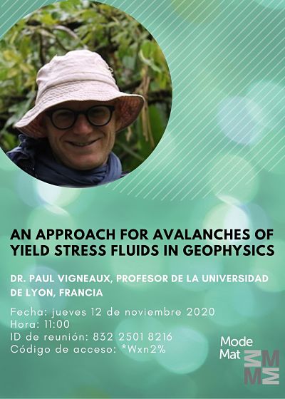  An approach for avalanches of yield stress fluids in geophysics